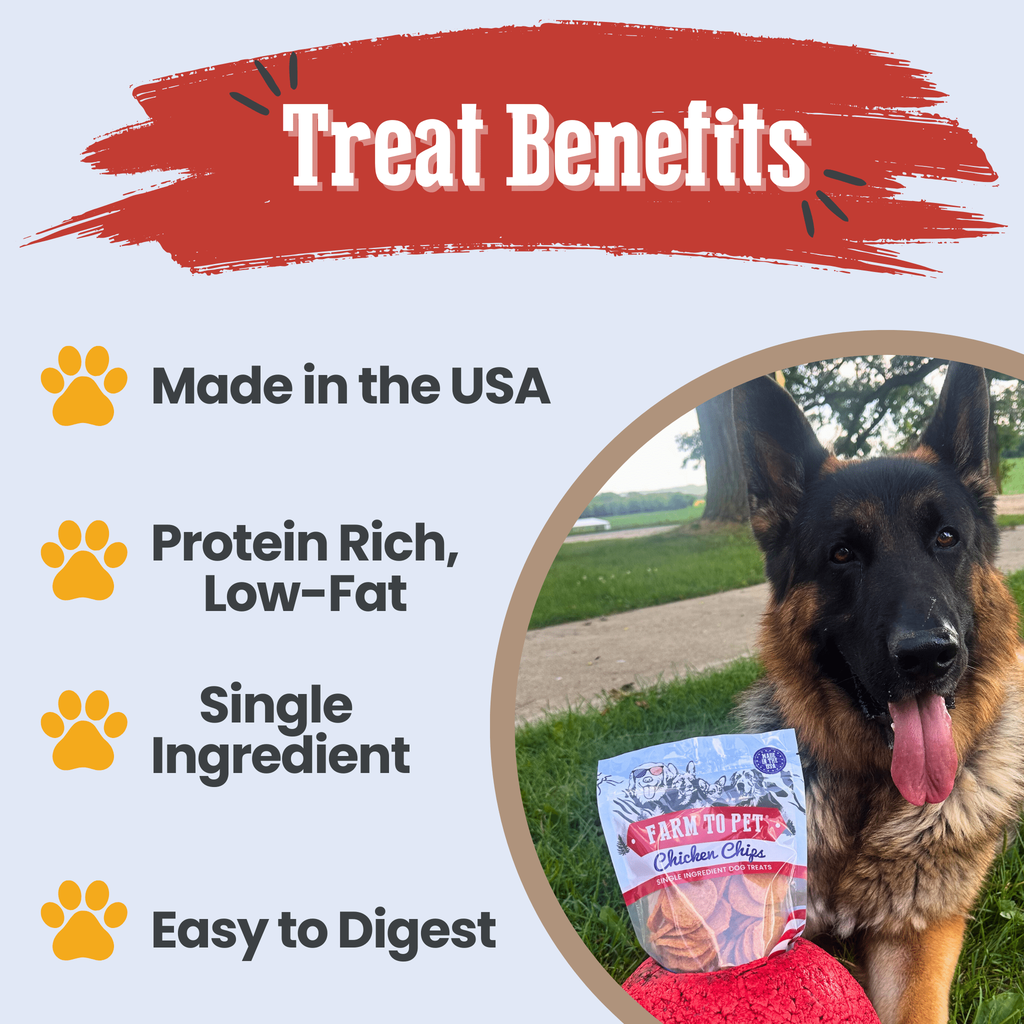 Americana Chicken Chips for Dogs | Celebrate with USA-made Dog Treats