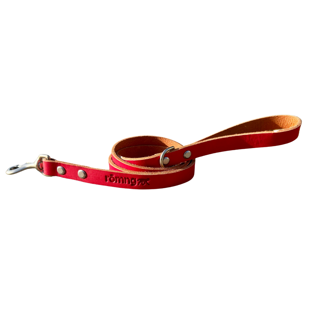 handmade leather dog leash